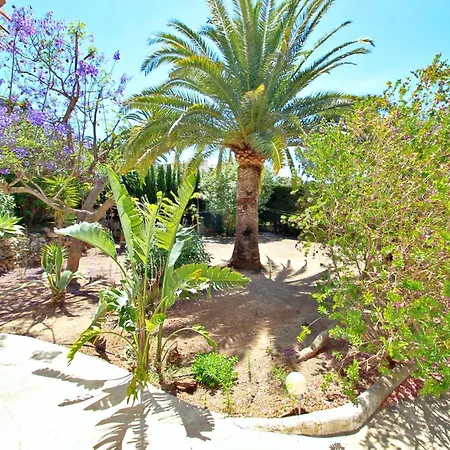 Mimosa - Pretty With Private Pool In Villa Moraira